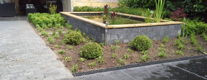 Beplanting rondom vijver